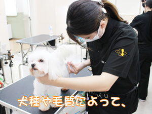 １年生、カットもがんばっています！